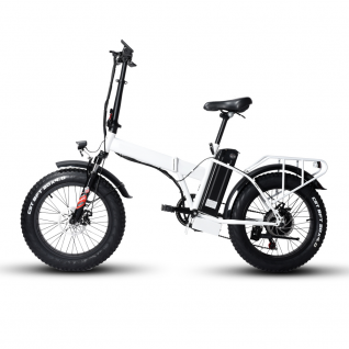 Fat Tyre Electric Bike