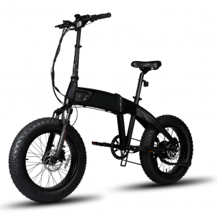 Fat Tyre Electric Bike